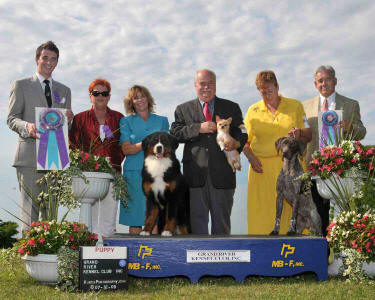 CH. Saiyai's Miracle Moment To Brislin, BEST PUPPY IN SHOW