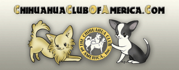 Chihuahua Club of America