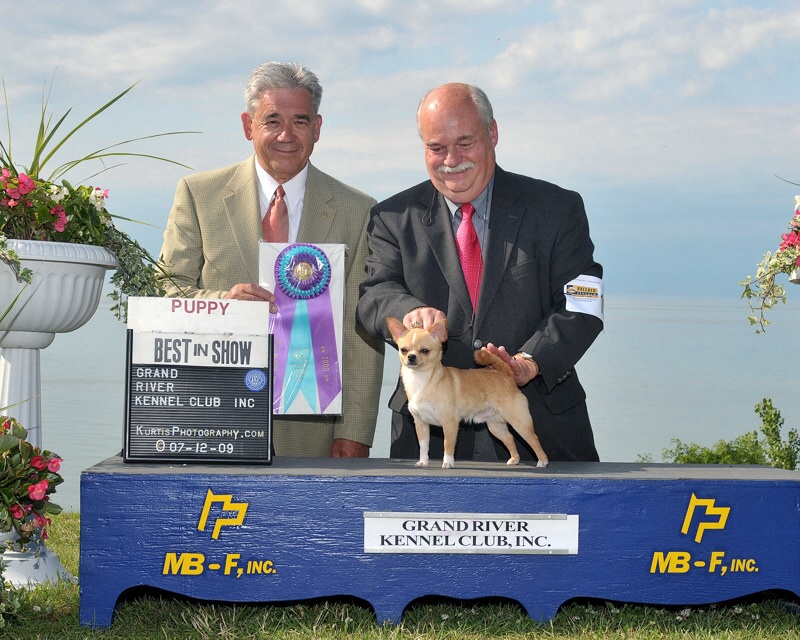 Jim Lehman and Champion Tommie winning Best Puppy In Show